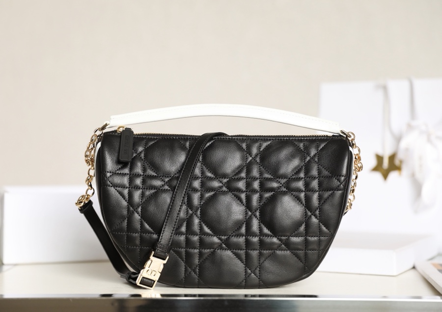 DIOR VIBE Medium Dumpling Bag