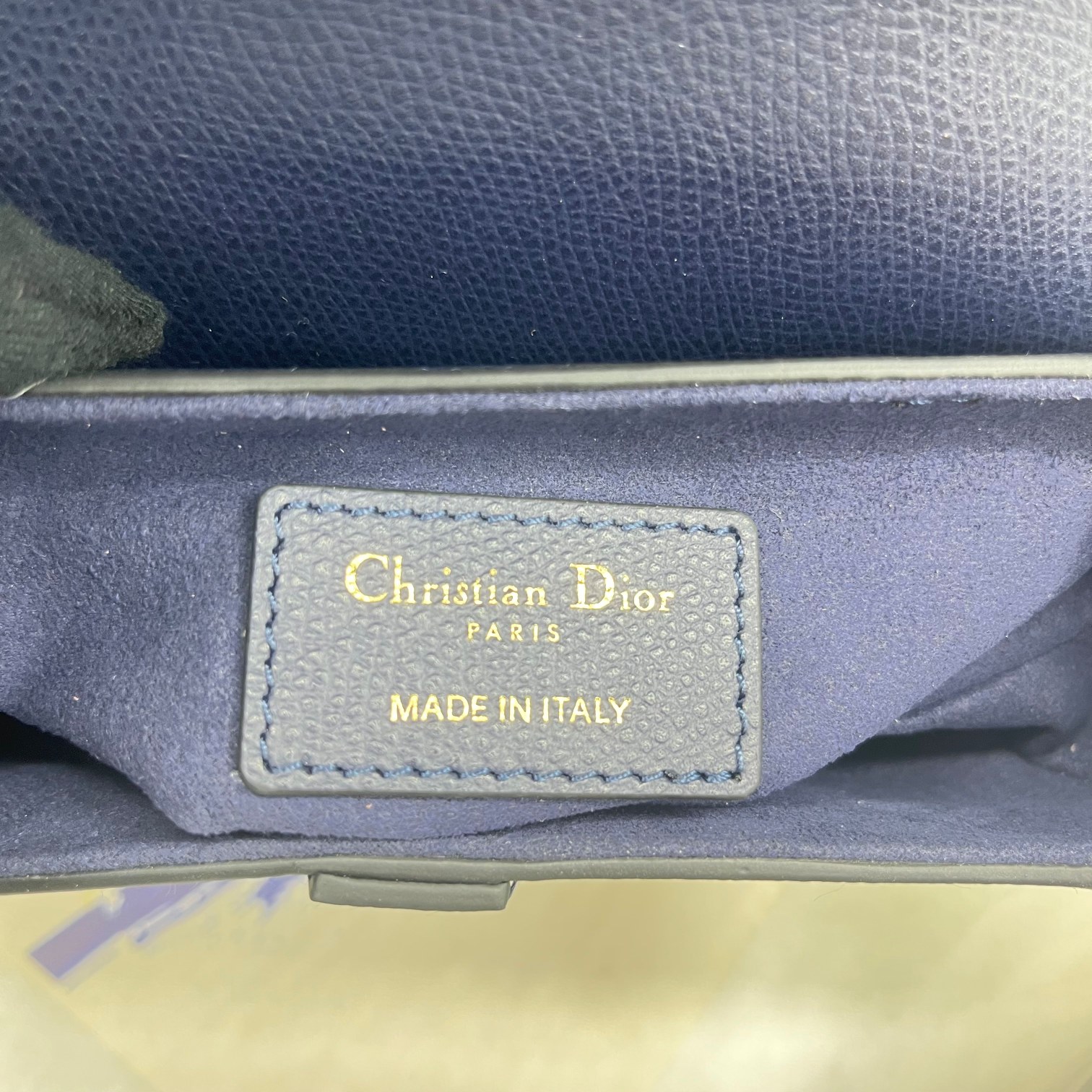 Dior saddle palm print collection