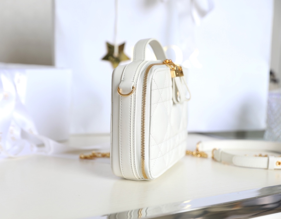 Dior box camera bag