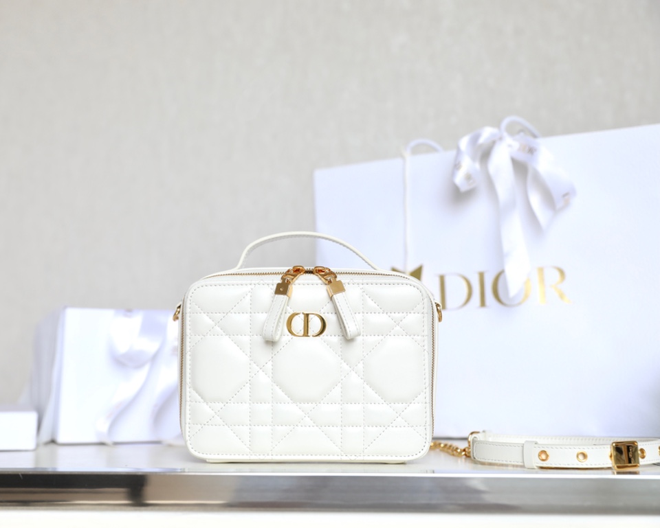 Dior box camera bag