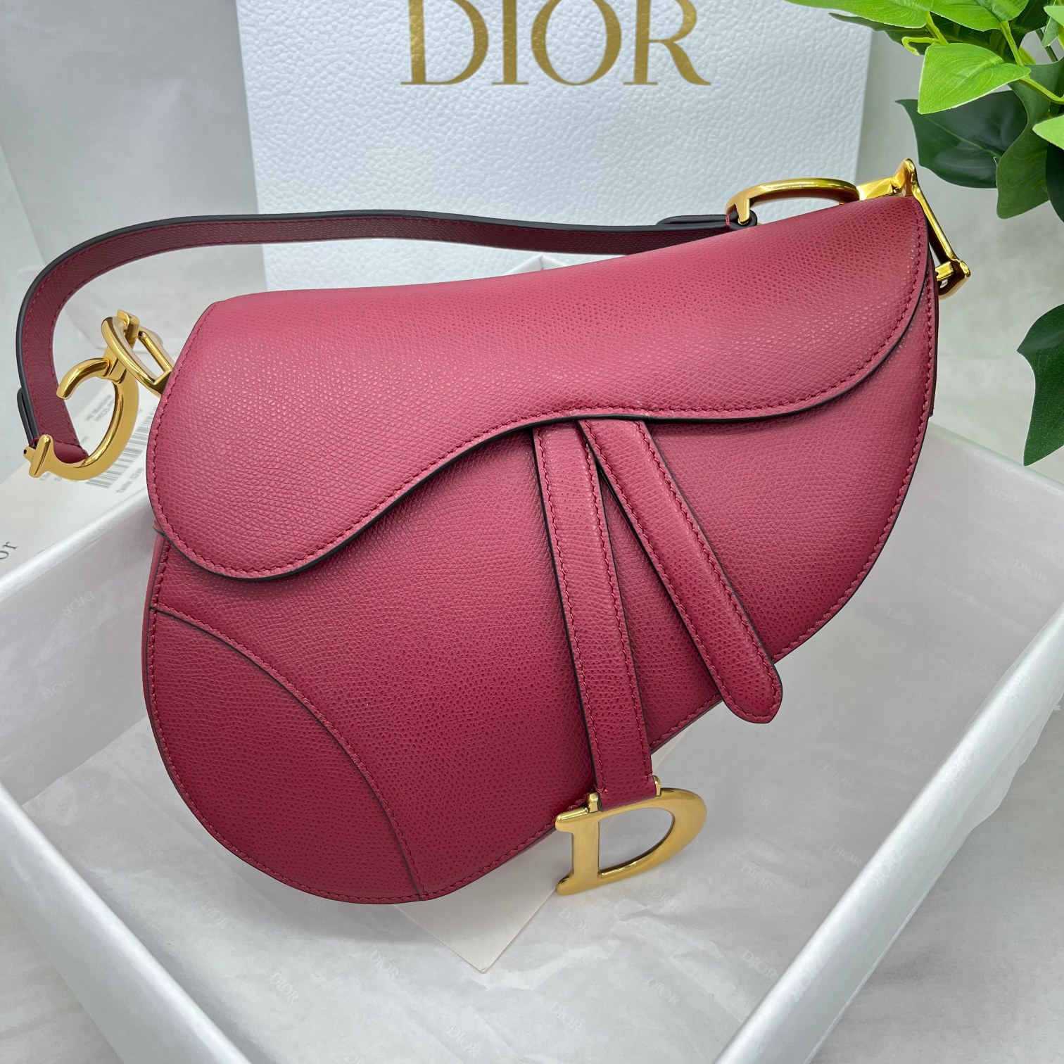 Dior saddle palm print collection