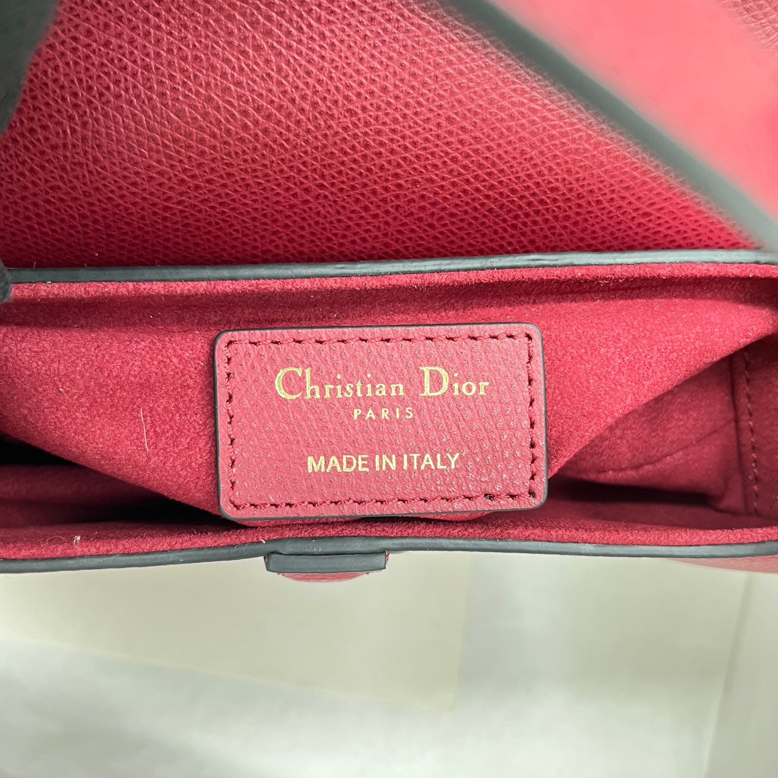 Dior saddle palm print collection