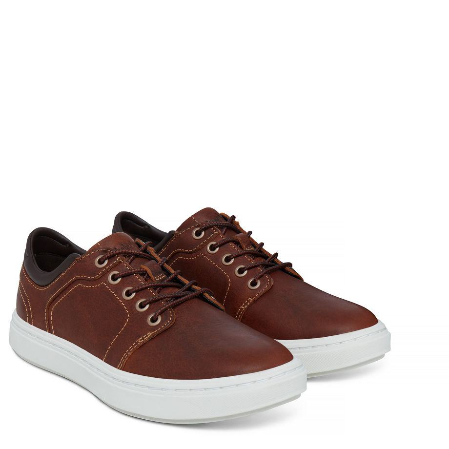 Timberland Women's Londyn Trainer Brown Wheat Tbl Forty