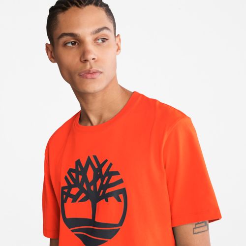 Timberland Men's Kennebec River Tree-Logo Tee