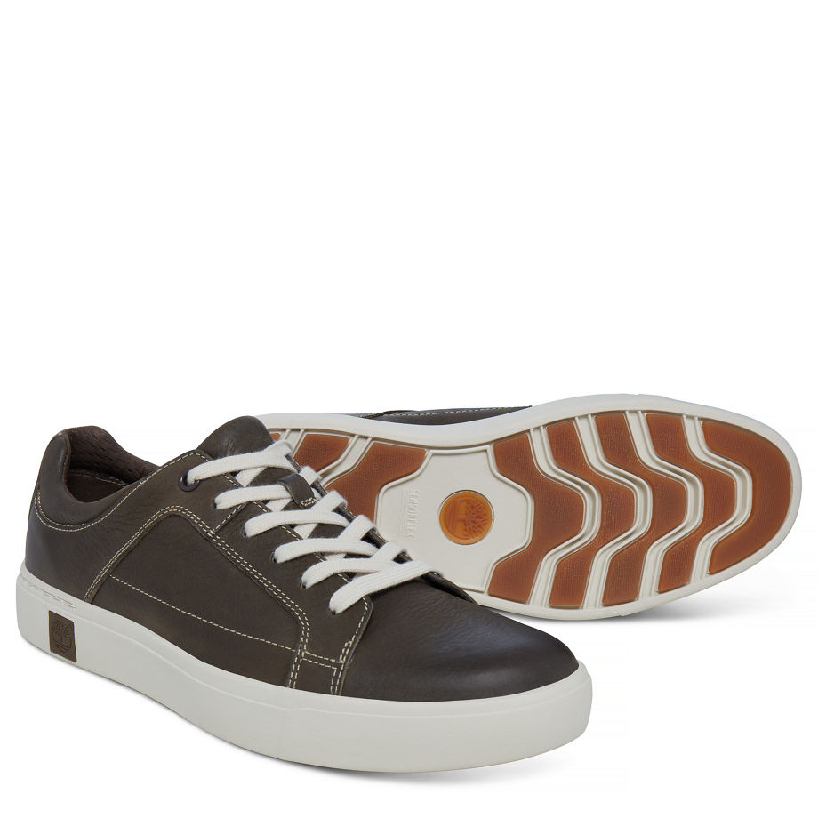 Timberland Men's Amherst Oxford Olive Canteen Vecchio