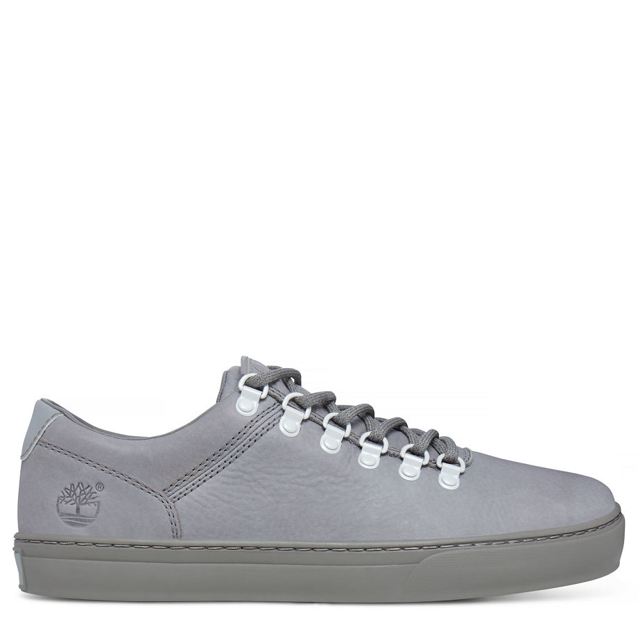 Timberland Men's Adventure 2.0 Alpine Oxford Reflective Grey Steeple Grey Escape
