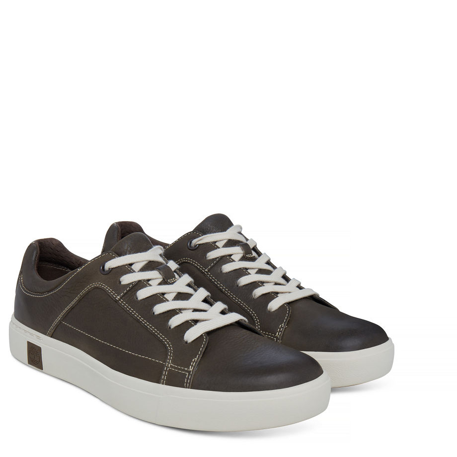 Timberland Men's Amherst Oxford Olive Canteen Vecchio