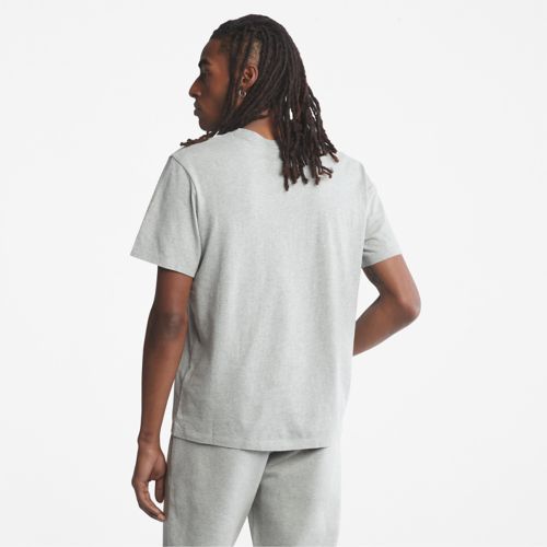 Timberland Men's Kennebec River Tree-Logo Tee