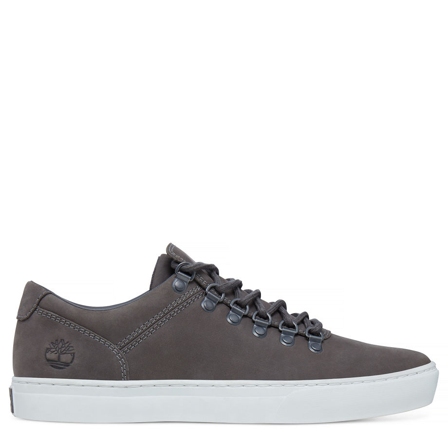 Timberland Men's Adventure 2.0 Alpine Oxford Graphite Graphite