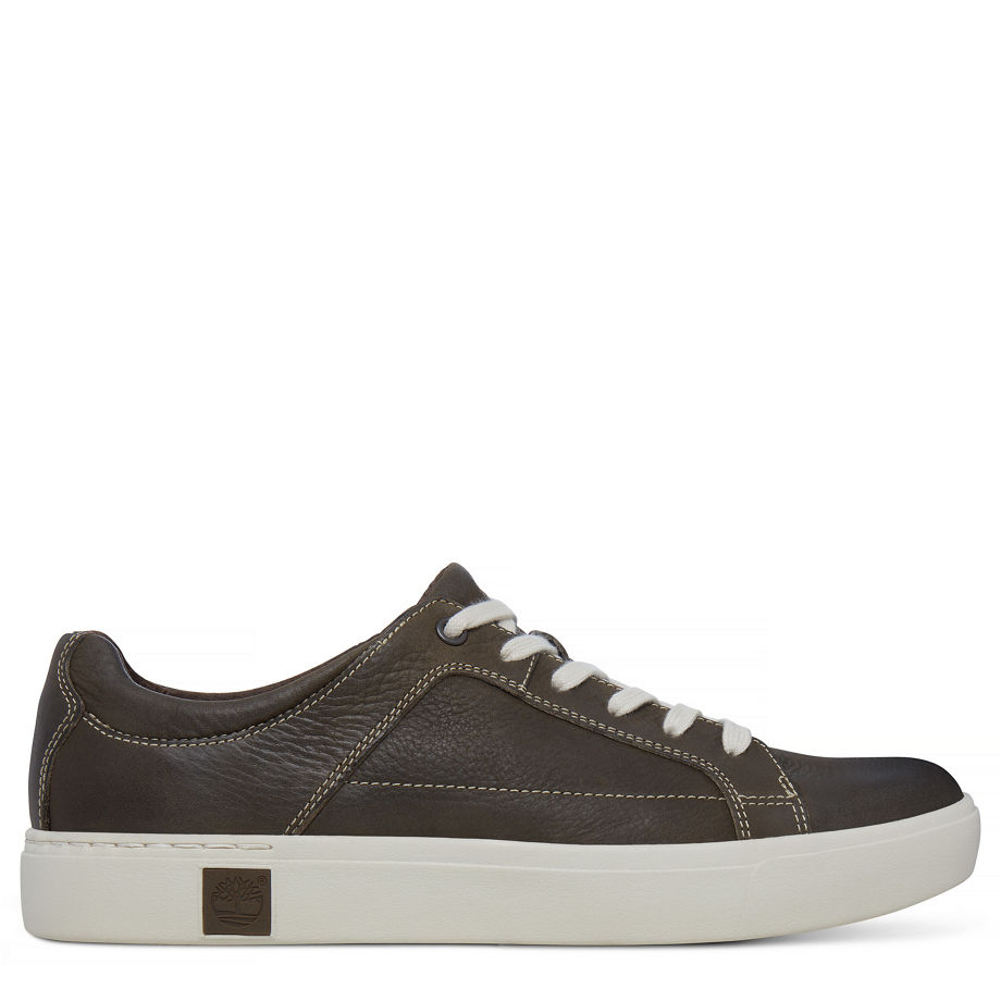 Timberland Men's Amherst Oxford Olive Canteen Vecchio