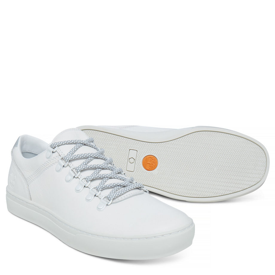 Timberland Men's Adventure 2.0 Alpine Oxford Reflective White Honeydew Cloud Dancer