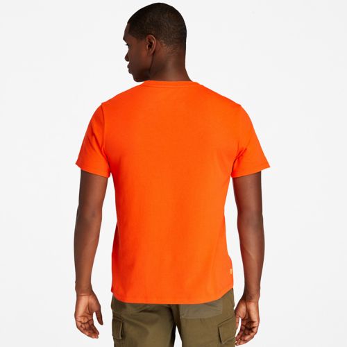 Timberland Men's Kennebec River Tree-Logo Tee