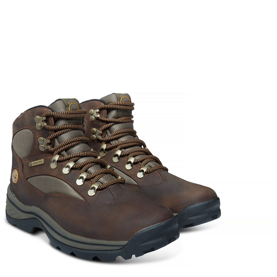 Timberland Women's Chocorua Trail Mid with Gore-Tex® Dark Brown/Green Dark Brown With Green