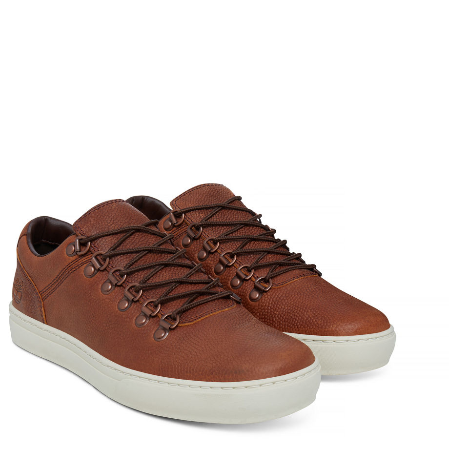 Timberland Men's Adventure 2.0 Alpine Oxford Vintage Brown Tan Old Harness W/ Emboss