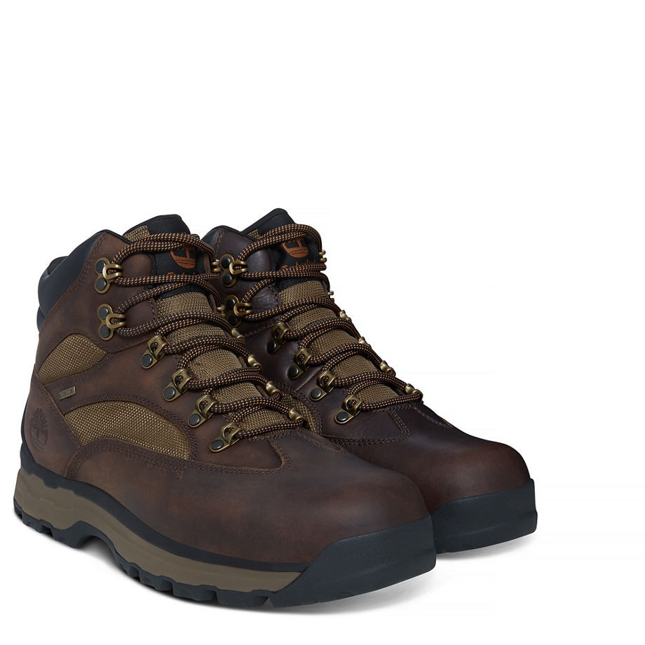 Timberland Men's Chocorua Trail 2 Gore-Tex® Hiker Brown Dark Brown/Green
