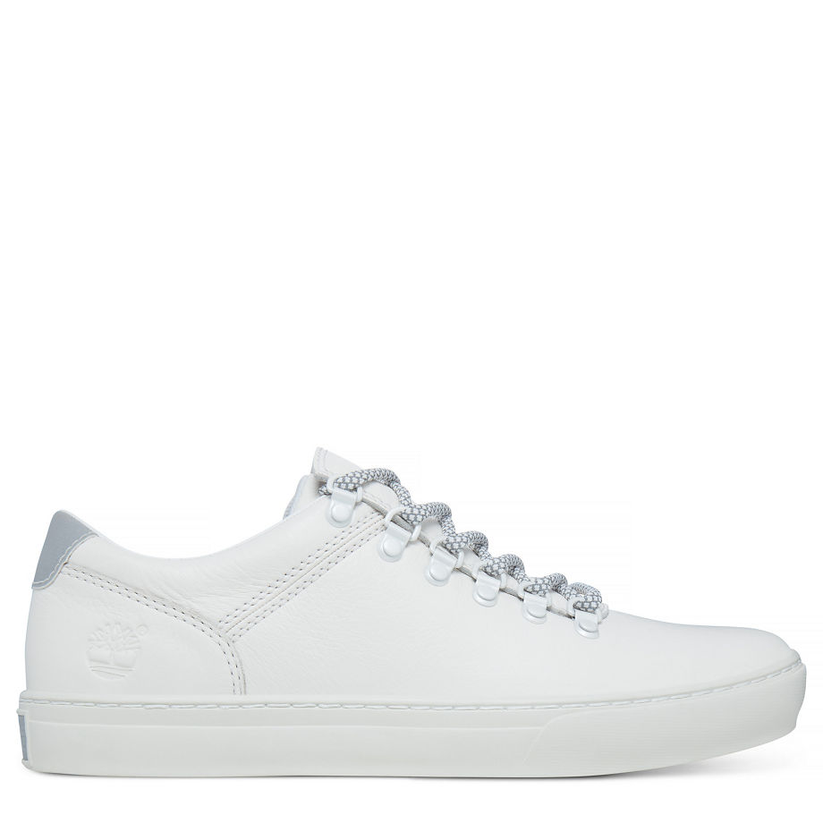 Timberland Men's Adventure 2.0 Alpine Oxford Reflective White Honeydew Cloud Dancer