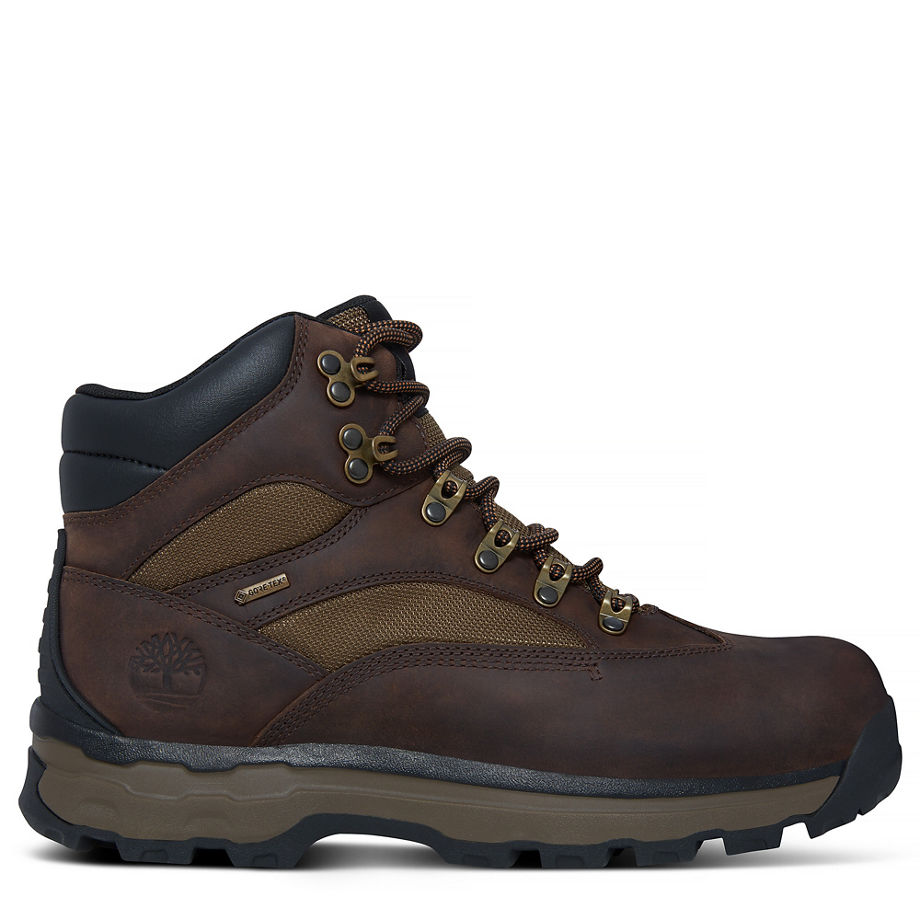 Timberland Men's Chocorua Trail 2 Gore-Tex® Hiker Brown Dark Brown/Green