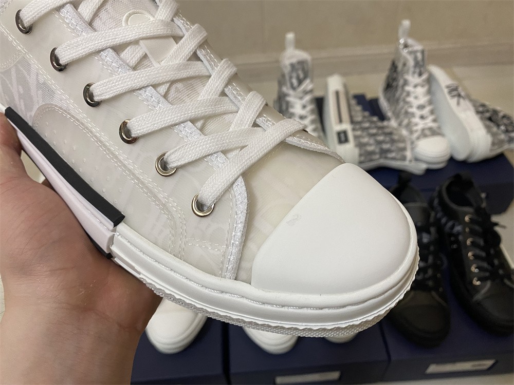 Dior B23 Low Top Oblique
