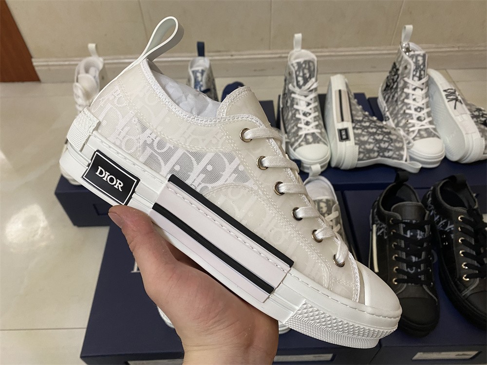 Dior B23 Low Top Oblique