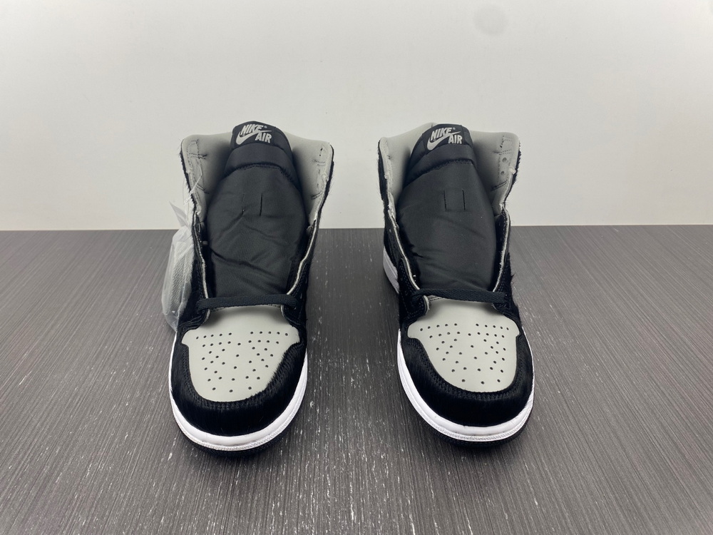 Jordan 1 Retro High OG Twist 2.0