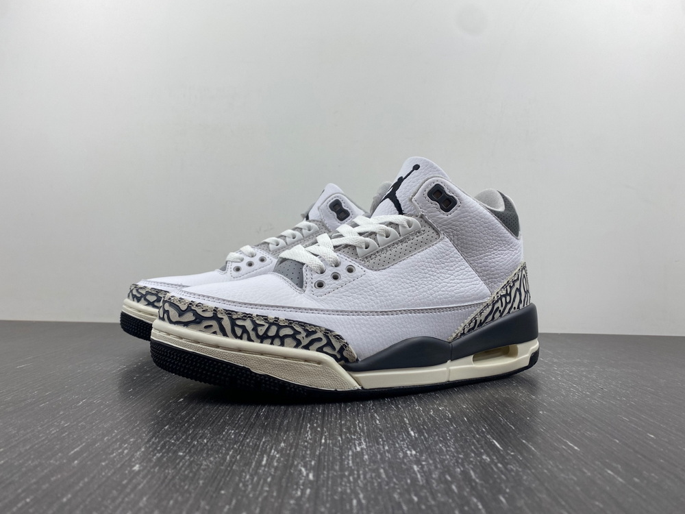 Jordan 3 Retro Hide N Sneak (GS)