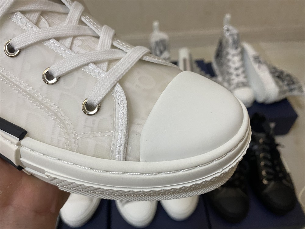Dior B23 High Top Oblique