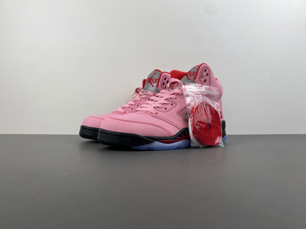 Jordan 5 Retro Awake NY Arctic Pink AJ5 Biggest 14