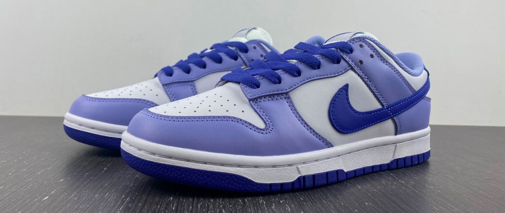 Nike Dunk Low Blueberry (GS)