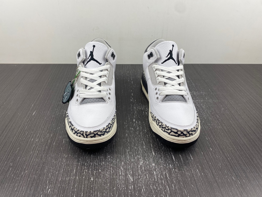Jordan 3 Retro Hide N Sneak (GS)