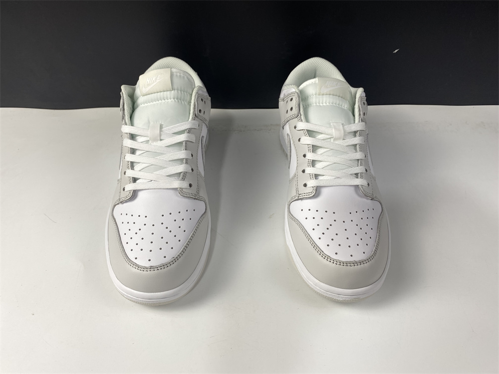 Nike Dunk Low Photon Dust