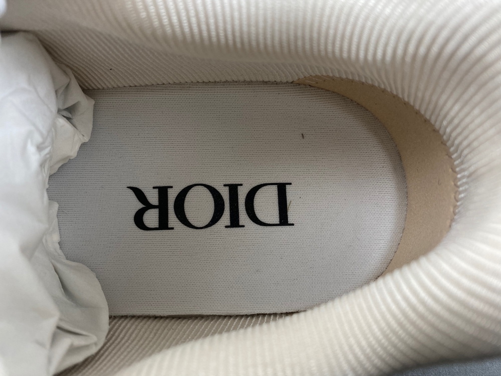 Dior B27 Low Dior Oblique Galaxy Leather Gray White