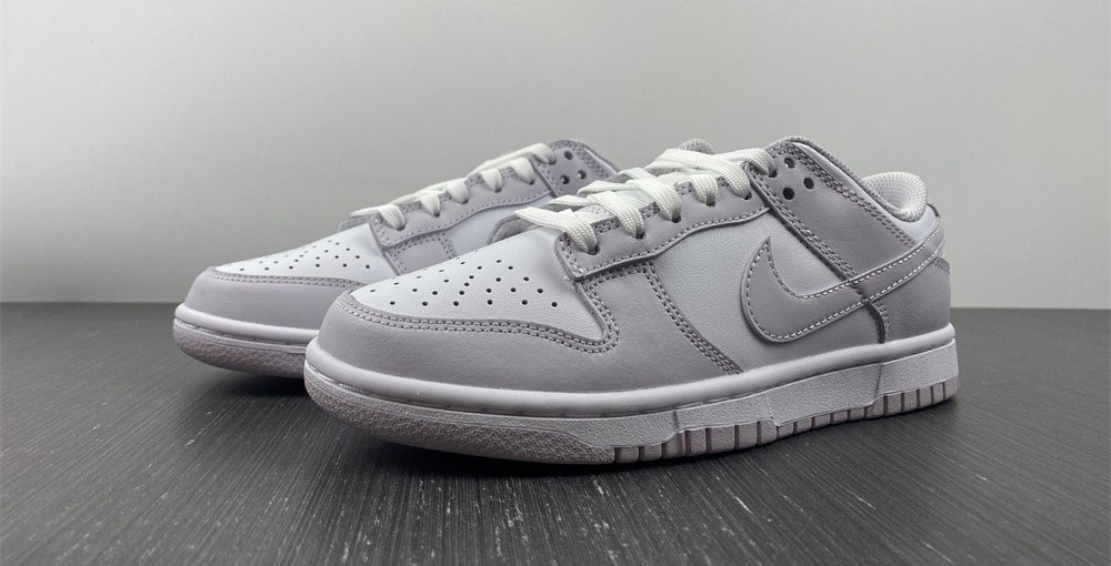 Nike Dunk Low Venice