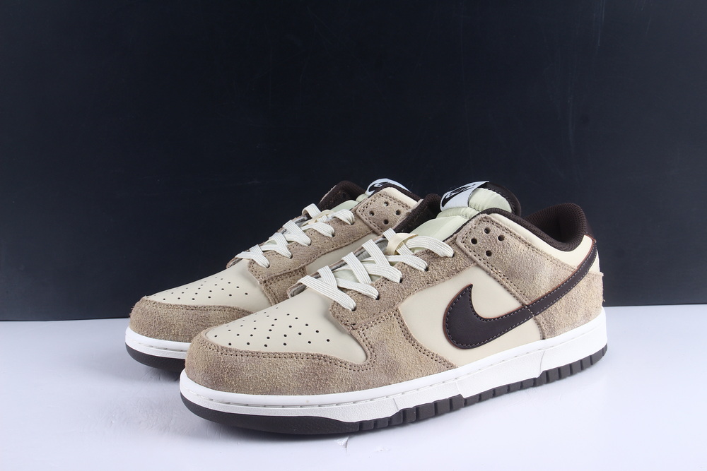 Nike Dunk Low Retro PRM