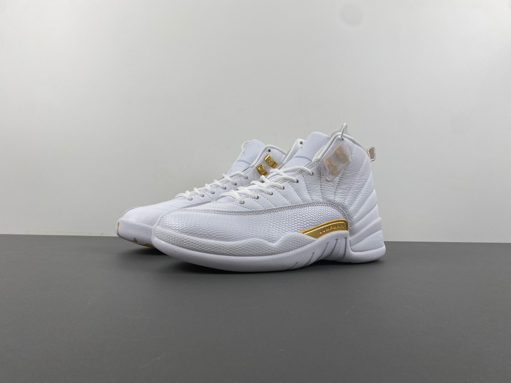 Air Jordan 12 Phantom AirJ12 Biggest 14