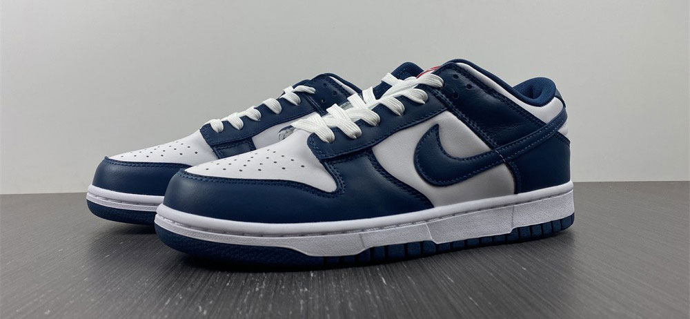 Nike Dunk Low Valerian Blue