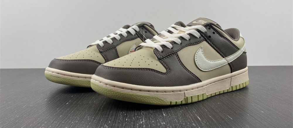 Nike Dunk Low Retro FB4960-210