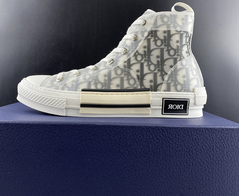 Dior B23 High Top Logo Oblique