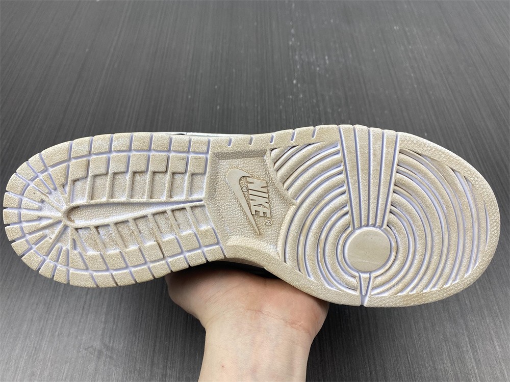 Nike Dunk Low RETRO VIDE
