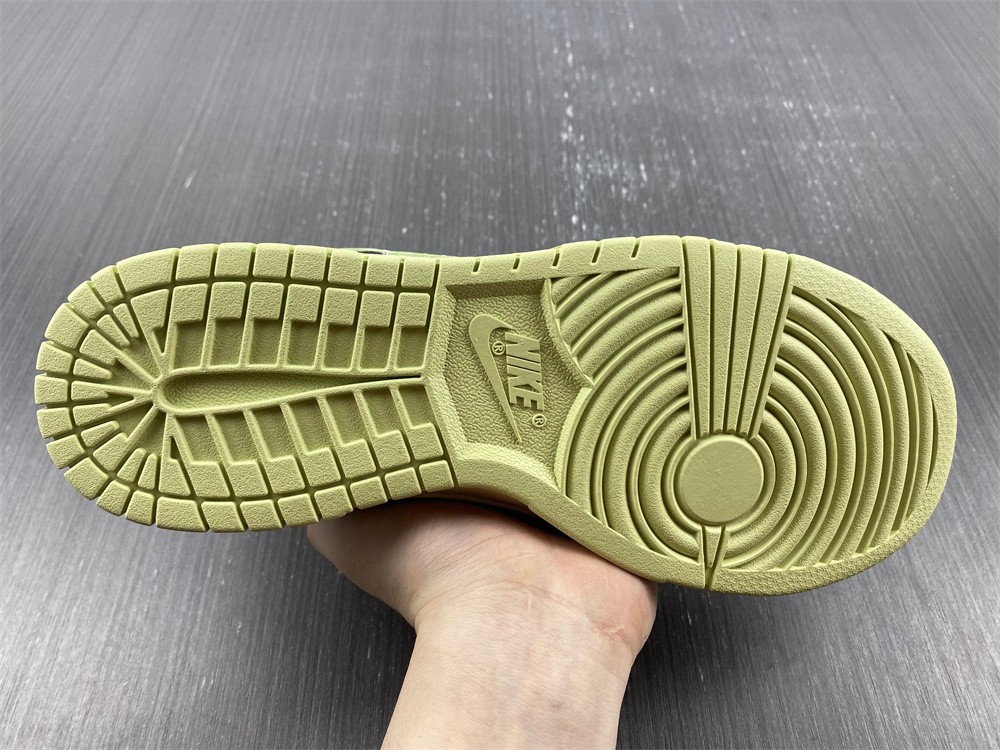 Nike Dunk Low Retro FB4960-210