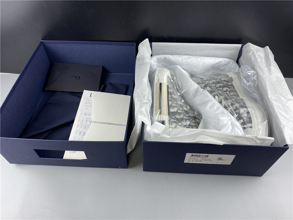 Dior B23 High Top Logo Oblique