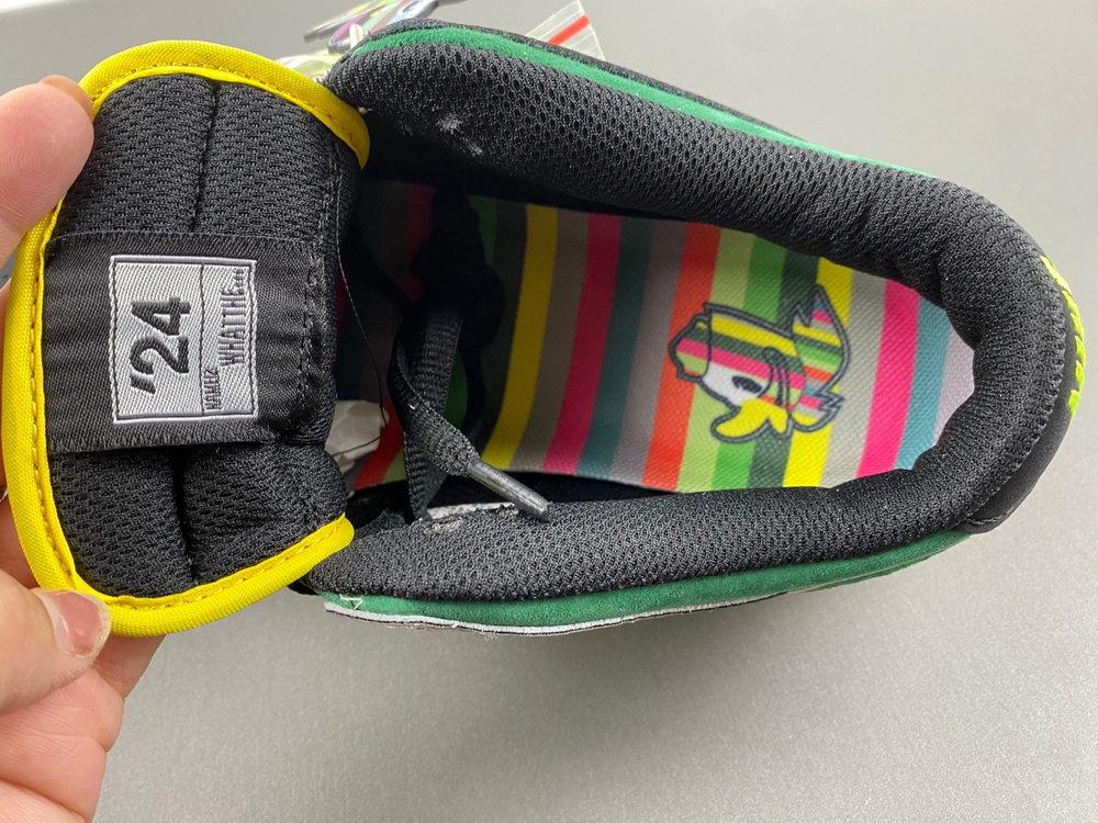 Nike Dunk Low What the Duck Home University of Oregon PE