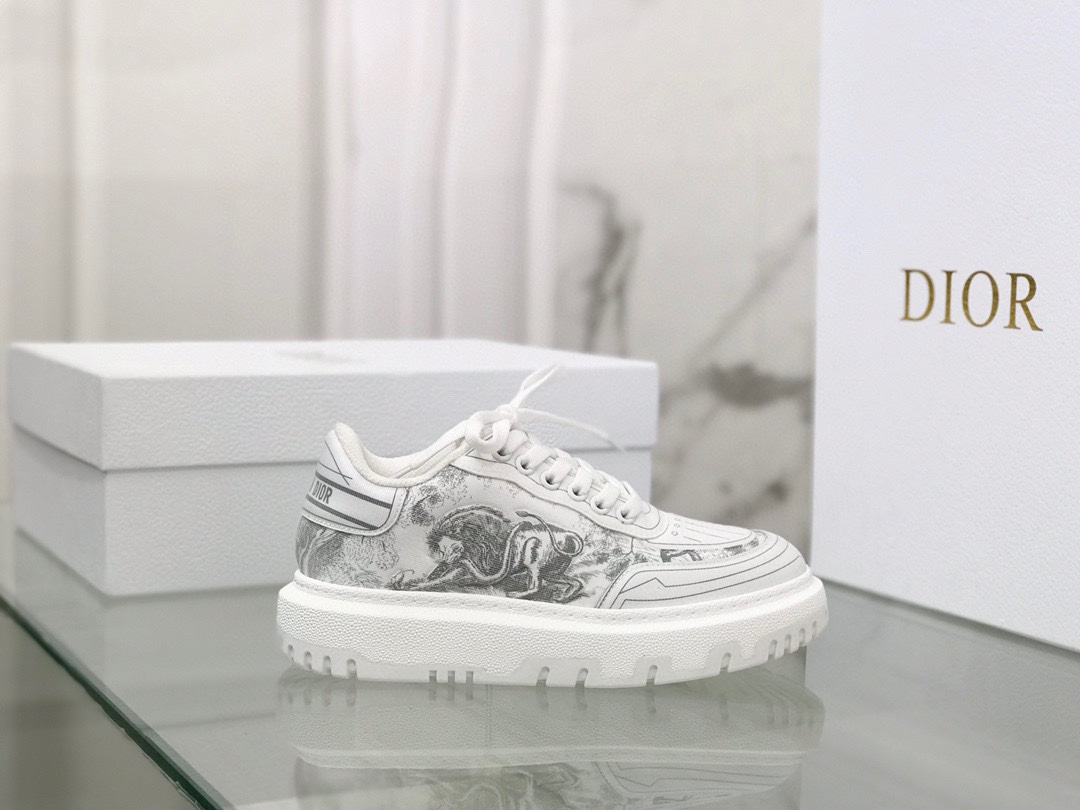 Dior shoes289