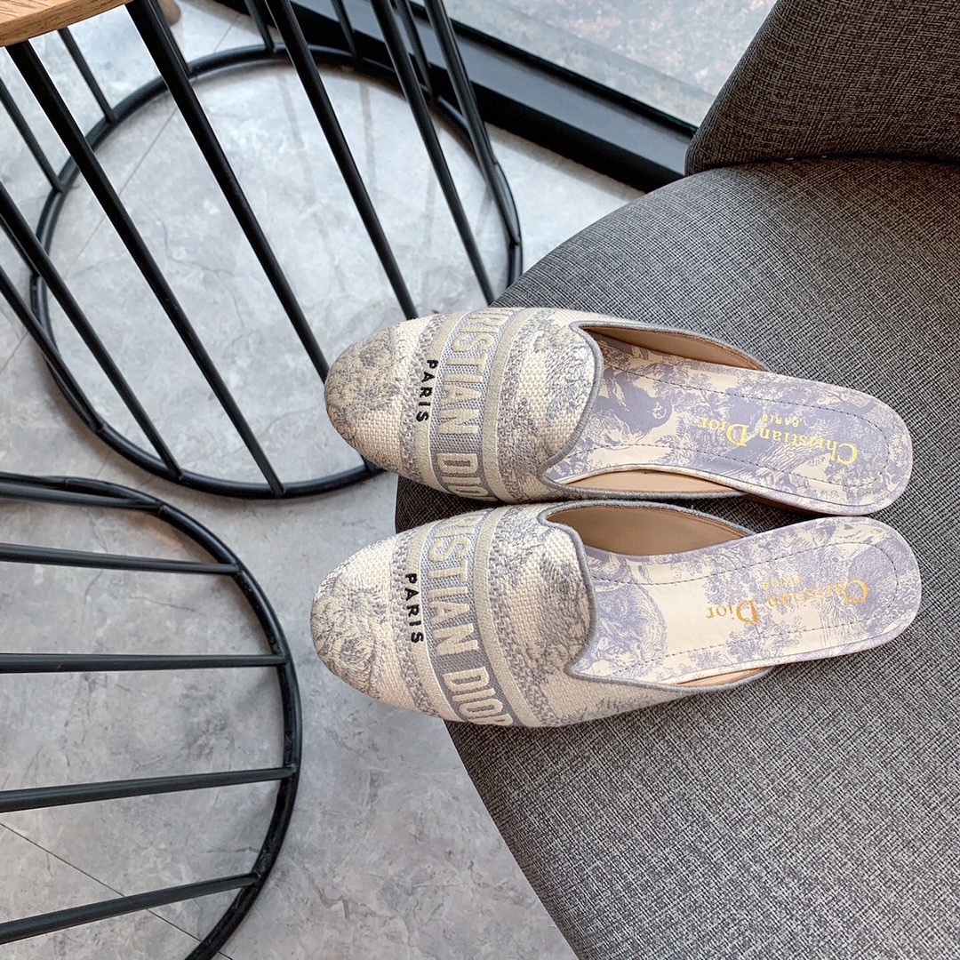 Dior shoes118