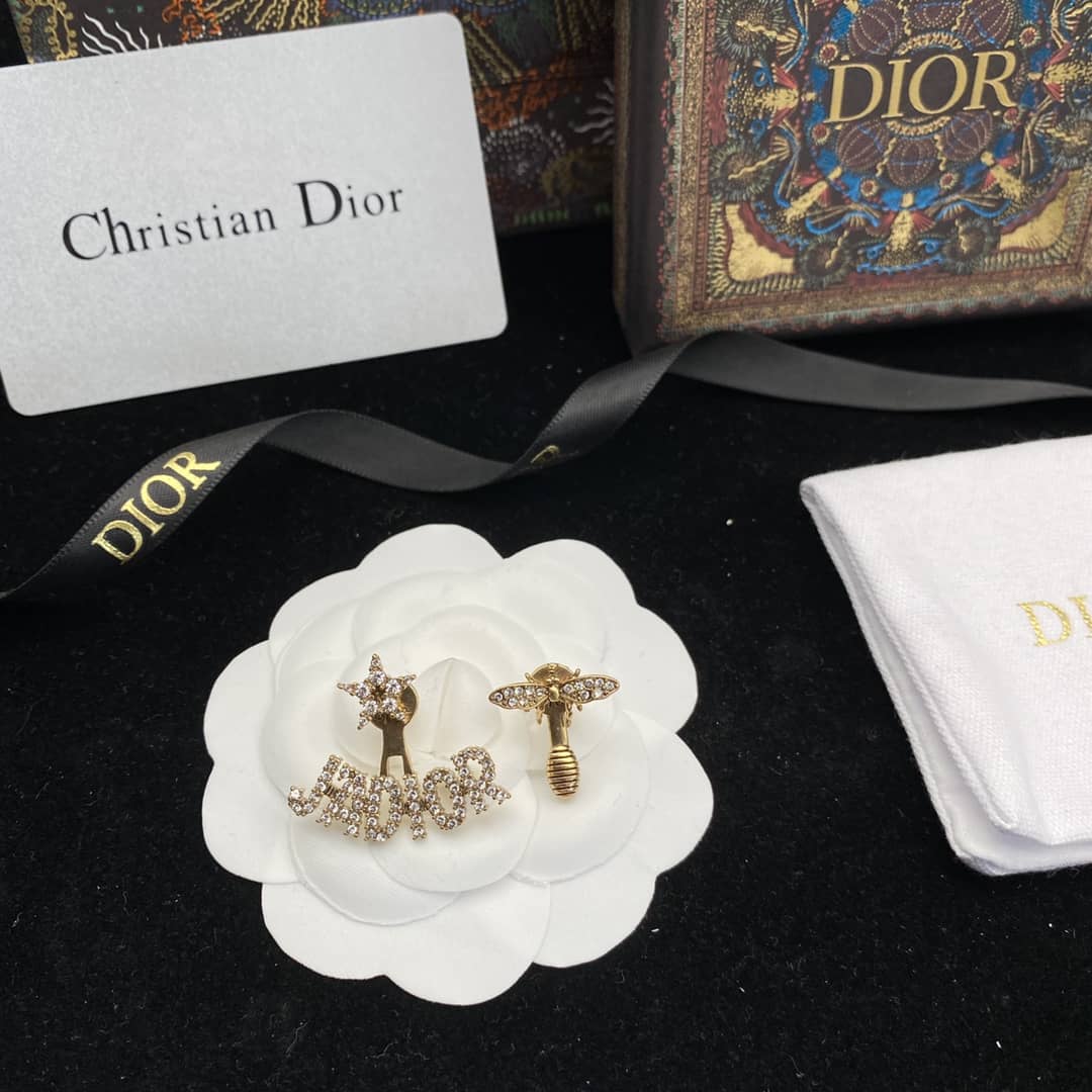 Dior Designer Earrings Copy