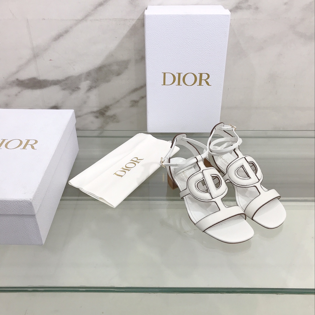 Dior shoes27