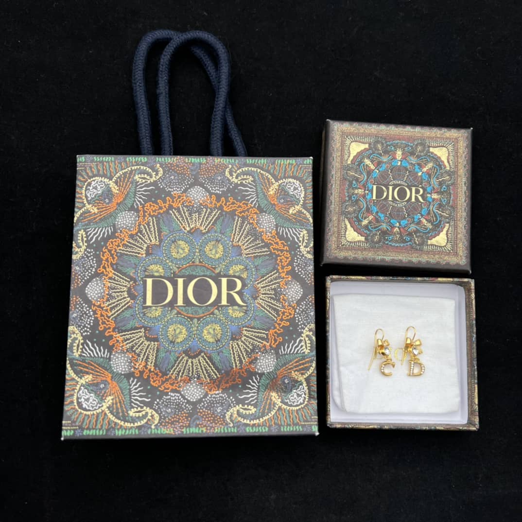 Dior Earrings Copy
