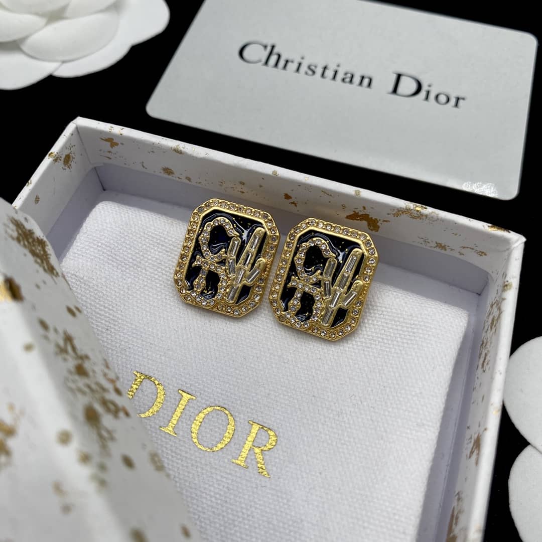 Dior Earrings First Copy