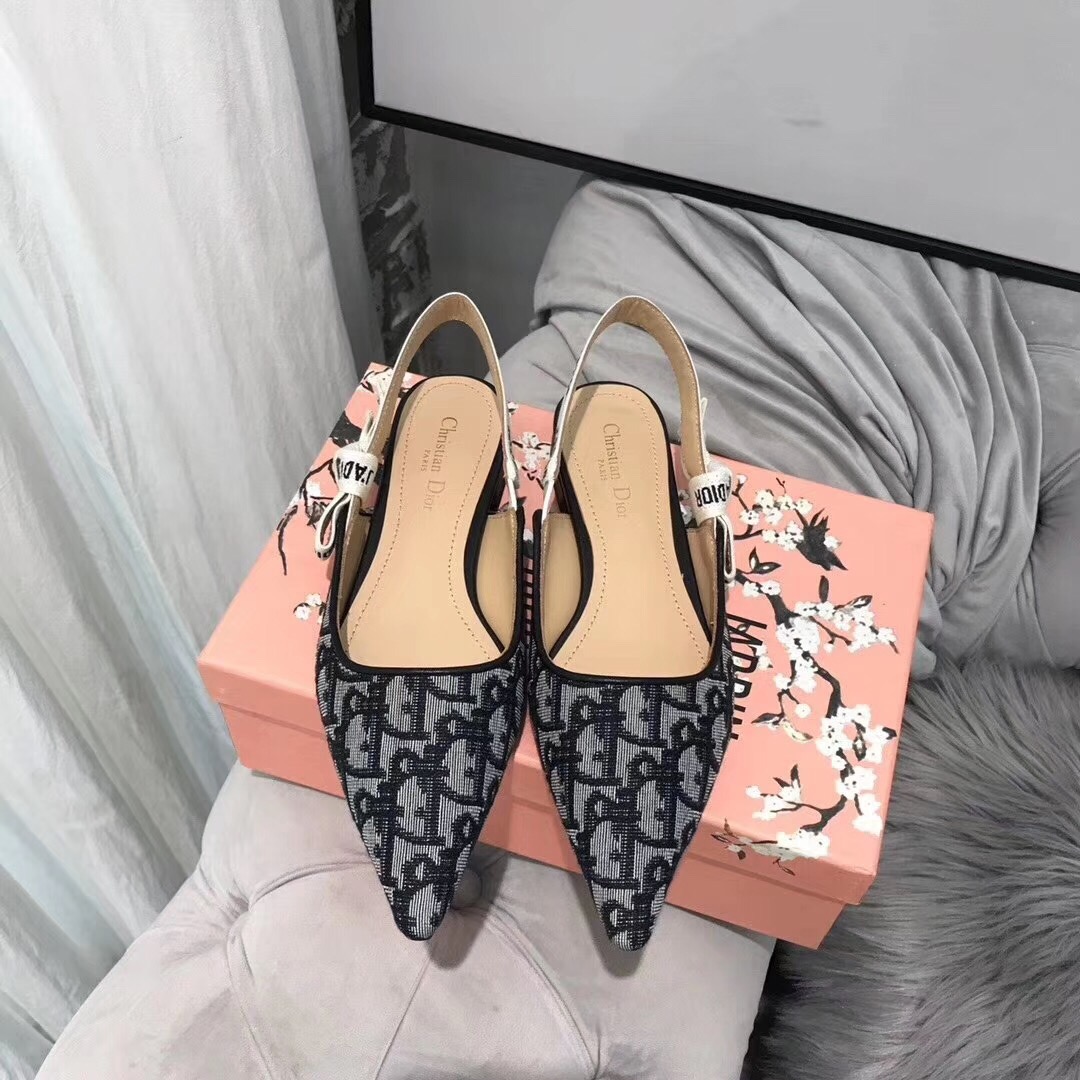 Dior shoes231