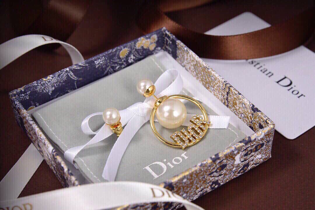 Dior Earrings Copy
