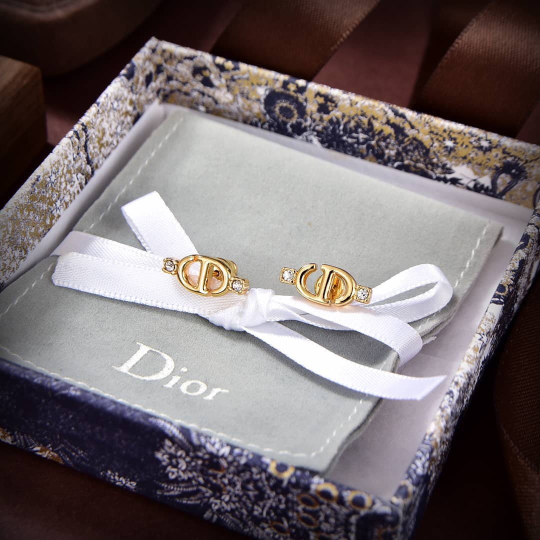Best Dior Classic Earrings